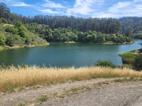 Best 10 Hiking Trails in Lake Chabot Regional Park | AllTrails