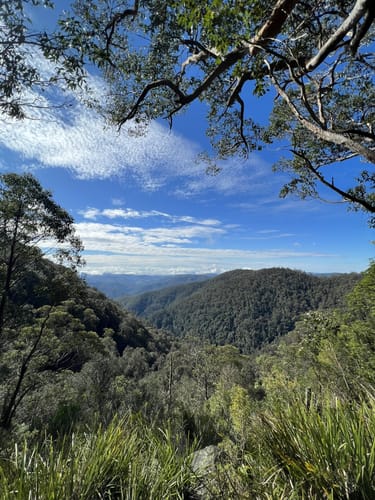 mejores rutas vistas panorámicas en Gloucester Tops en 2023 | AllTrails