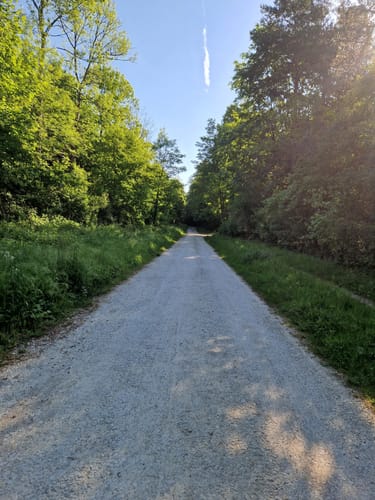 Östlicher Teutoburger Wald