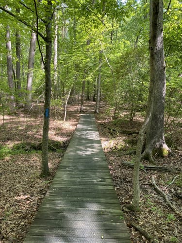 2023 Best trails in Locust Grove | AllTrails