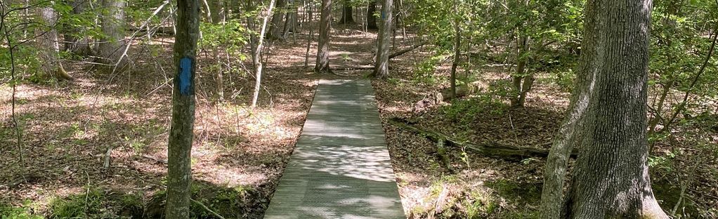 Gordon Flank Attack Trail: 311 Reviews, Map - Virginia | AllTrails