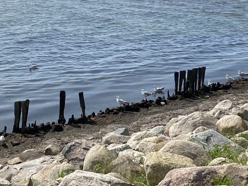 Rundtour Kellenhusen: Zum Leuchtturm Dahmeshöved und nach Dahme