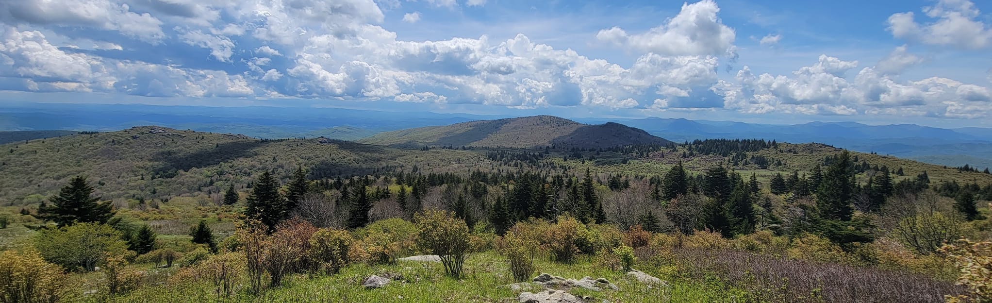 Appalachian, Crest, and Wilburn Ridge Loop 66 Reviews, Map Virginia