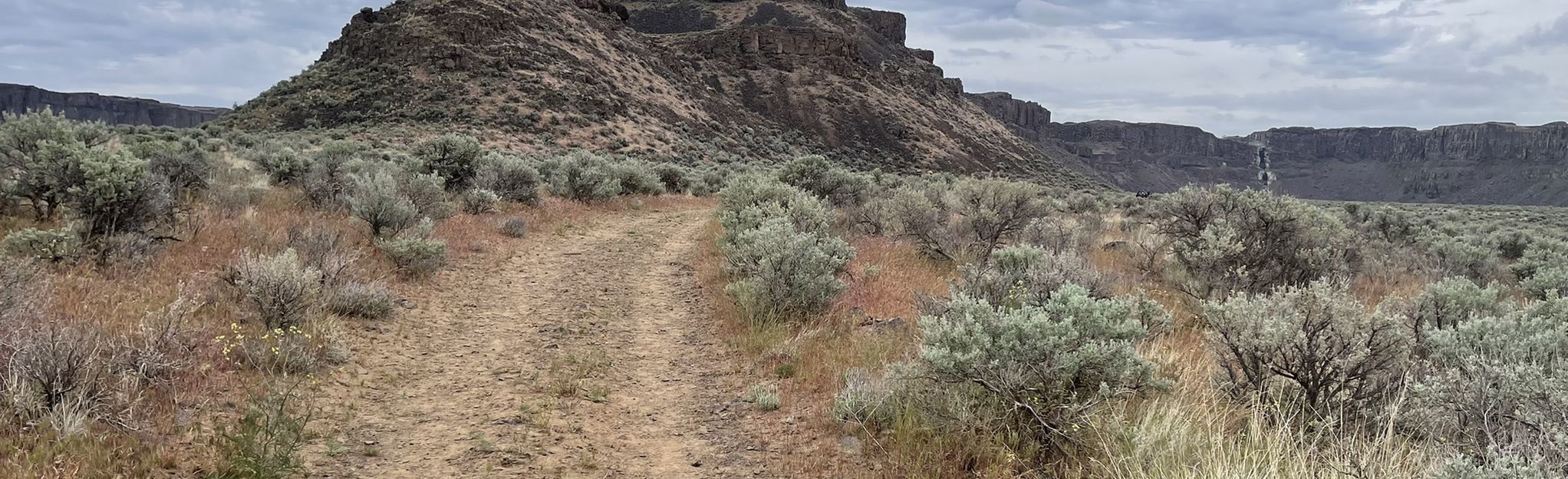 Echo Basin Loop, Washington - 67 Reviews, Map | AllTrails