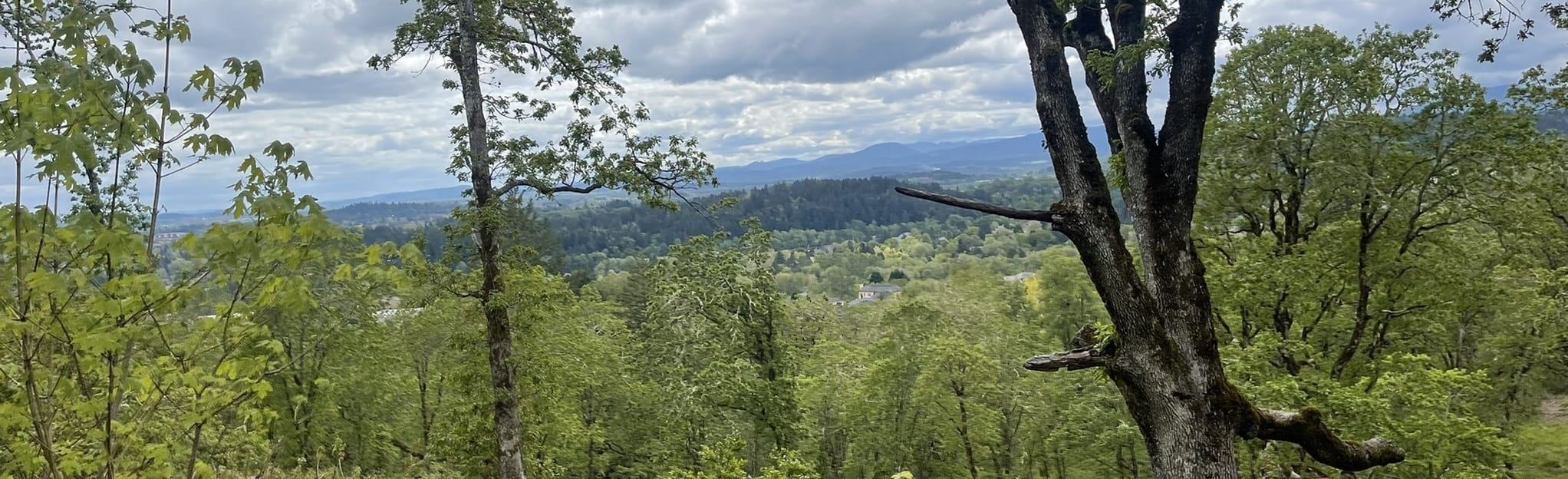 Main Chip Ross, Lower Dan and Road 612 Loop: 820 foto's - Oregon ...