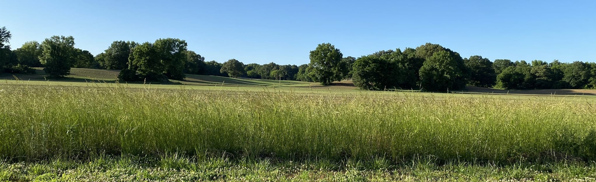 Johnson Creek Greenway 83 Reviews, Map Mississippi AllTrails