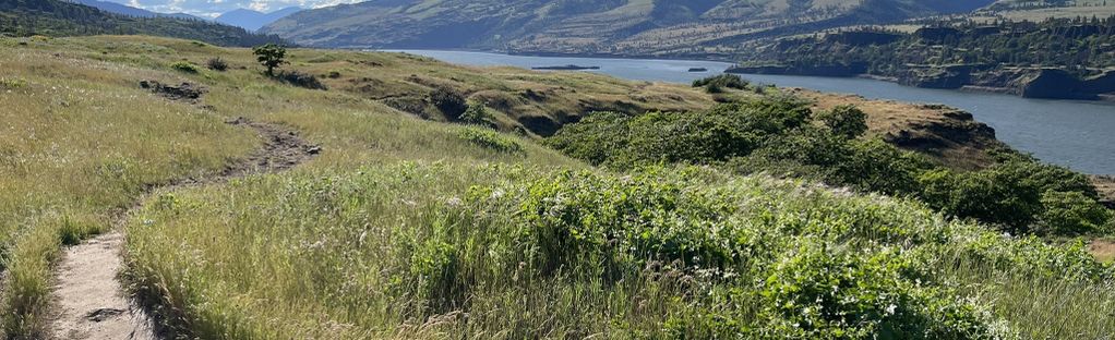 Hiking Rowena Plateau and Tom McCall Point - Voyages with Val