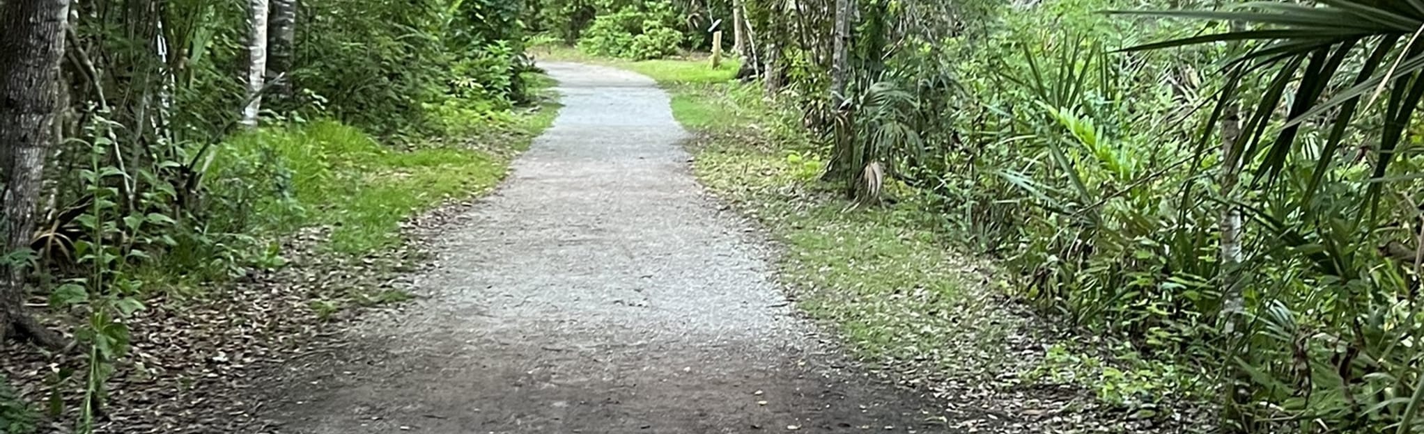 Hammock Park Sugarberry Loop, Florida 51 Reviews, Map AllTrails