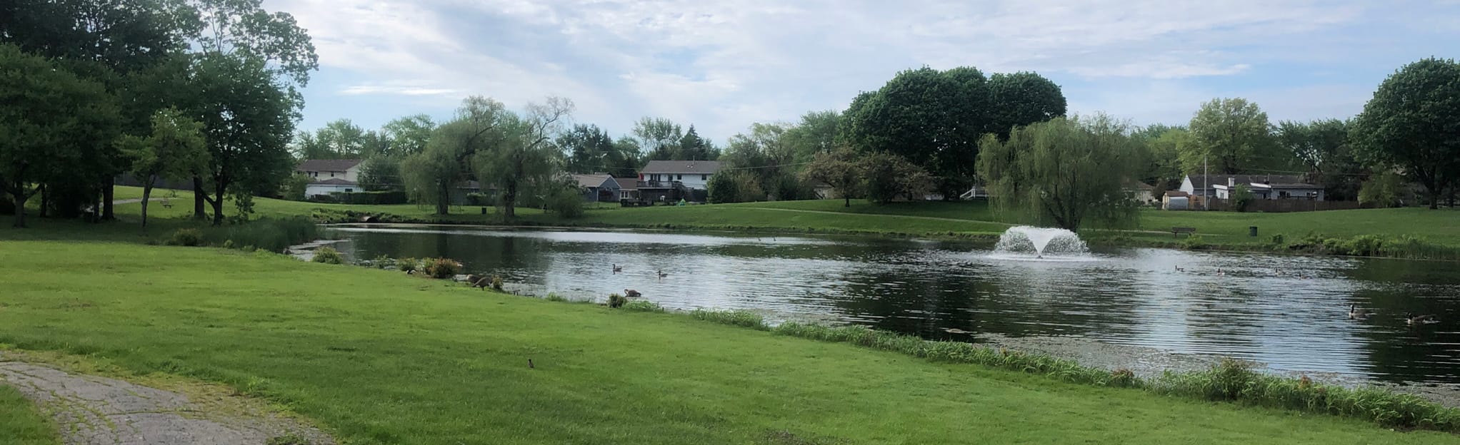 Streamwood War Memorial and Kollar Park Walk 23 fotos Illinois AllTrails