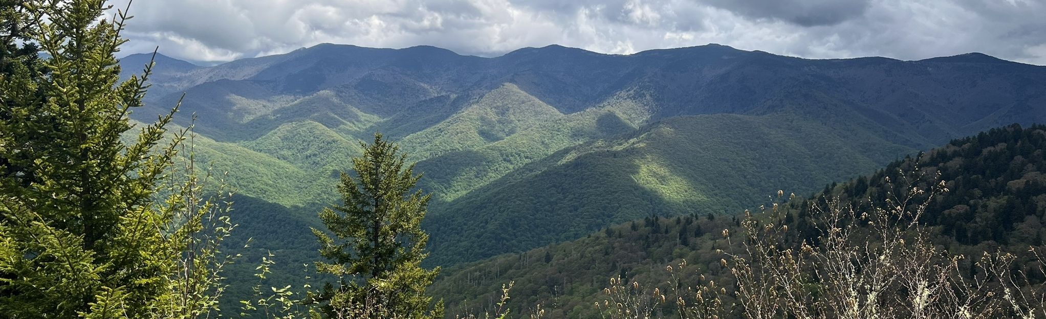 Point Misery and Little Butt via Big Butt Trail, North Carolina - 495 ...