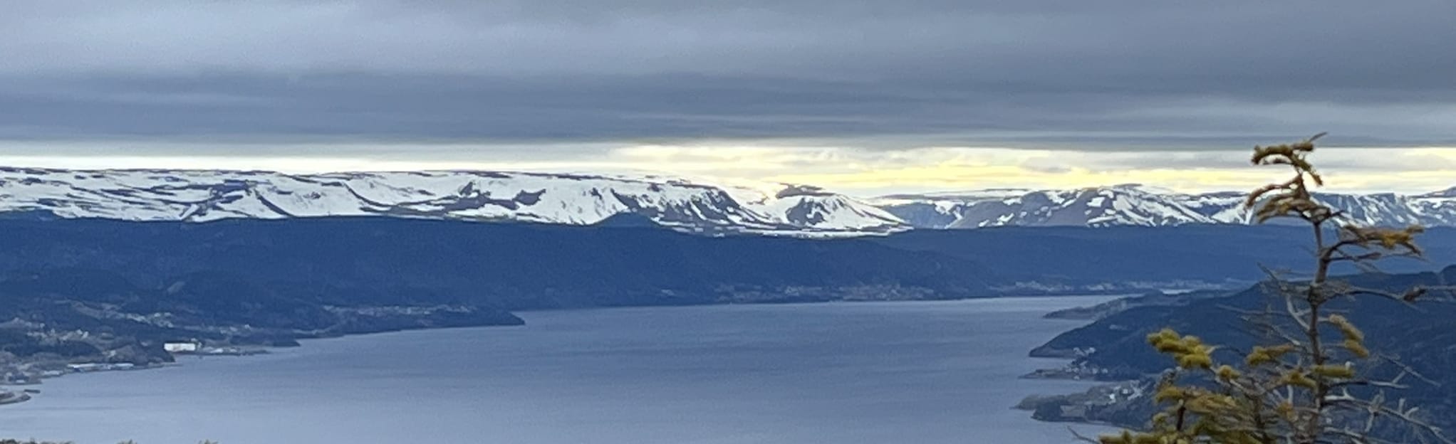 Bear Head Trail 30 Reviews, Map Newfoundland and Labrador, Canada AllTrails