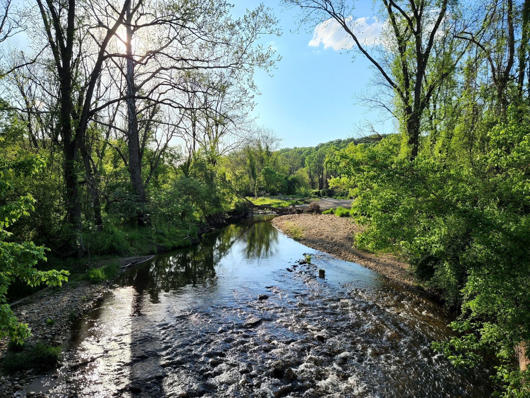 White Clay Creek Preserve - Wikipedia