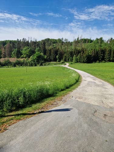 Östlicher Teutoburger Wald