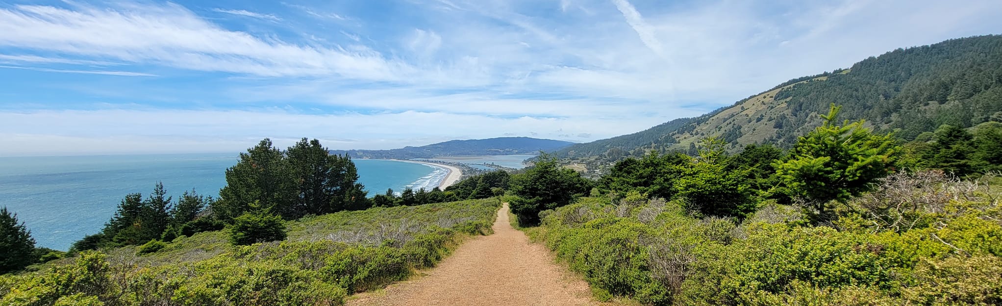 Dipsea to Steep Ravine Loop from Stinson Beach California AllTrails