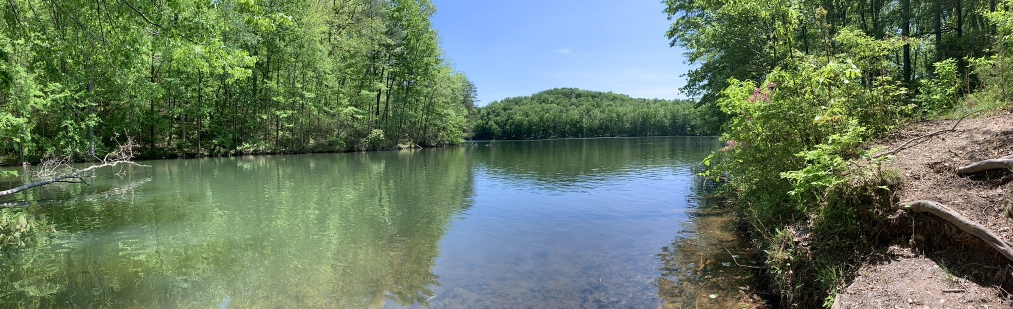 Liberty Reservoir Liberty Runs Trail 899 Reviews, Map