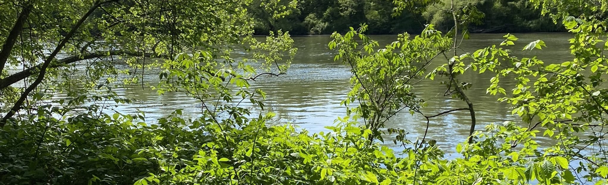 Schuylkill River Trail Port Providence - EyJidWNrZXQiOiJhc3NldHMuYWxsdHJhaWxzLmNvbSIsImtleSI6InVwbG9hZHMvcGhvdG8vaW1hZ2UvNDczNTA5NzAvZjc2MzhhMDQyOGZiMTBlMzk1ZjY5ZTEzZDQyY2MwNmMuanBnIiwiZWRpdHMiOnsidG9Gb3JtYXQiOiJqcGVnIiwicmVzaXplIjp7IndpZHRoIjoyMDQ0LCJoZWlnaHQiOjYyNCwiZml0IjoiY292ZXIifSwicm90YXRlIjpudWxsLCJqcGVnIjp7InRyZWxsaXNRdWFudGlzYXRpb24iOnRydWUsIm92ZXJzaG9vdERlcmluZ2luZyI6dHJ1ZSwib3B0aW1pc2VTY2FucyI6dHJ1ZSwicXVhbnRpc2F0aW9uVGFibGUiOjN9fX0=