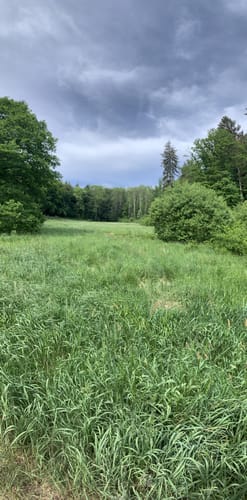 Nordic Walking Park 8