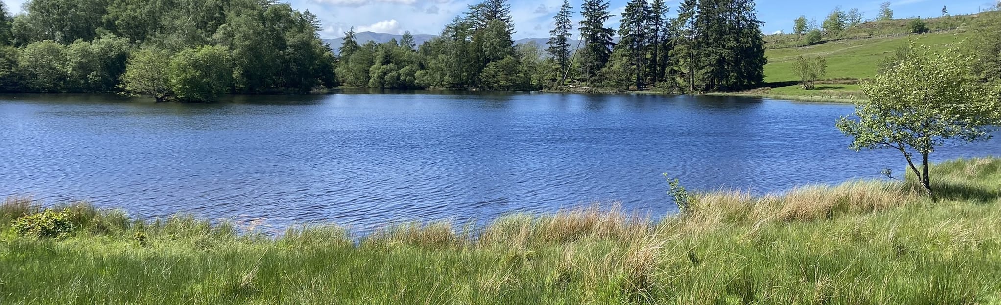 Bowness on Windermere and Beatrix Potter Circular 54 Reviews, Map