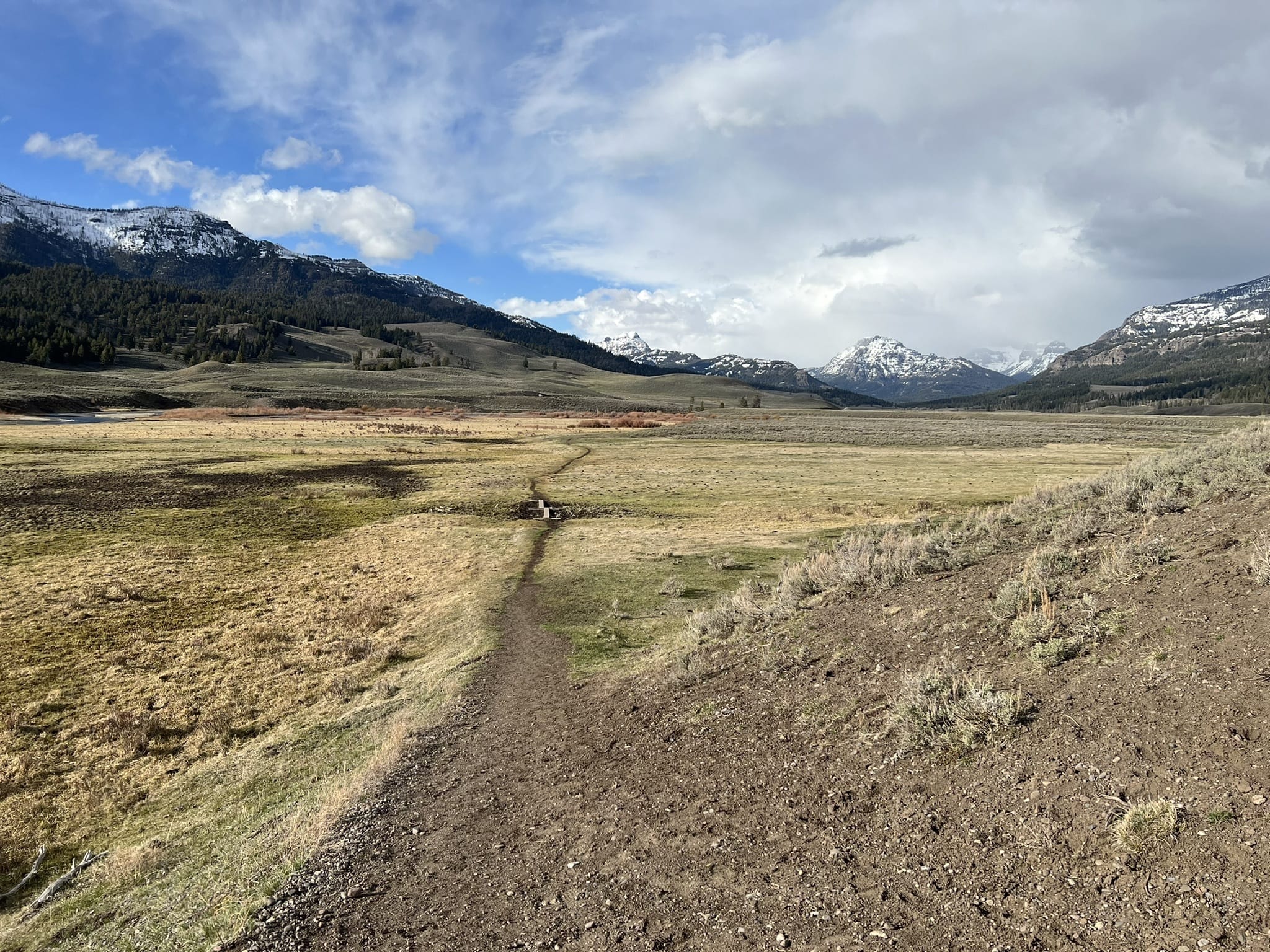 Photos of Lamar River Trail Montana AllTrails