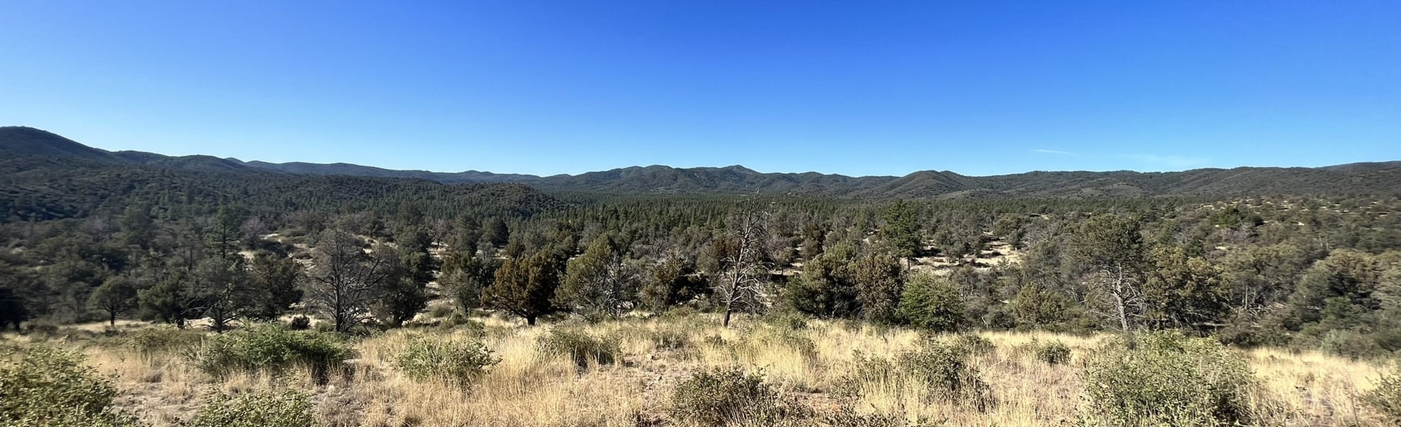 Lynx Creek Ruins Trail, Arizona 132 Reviews, Map AllTrails