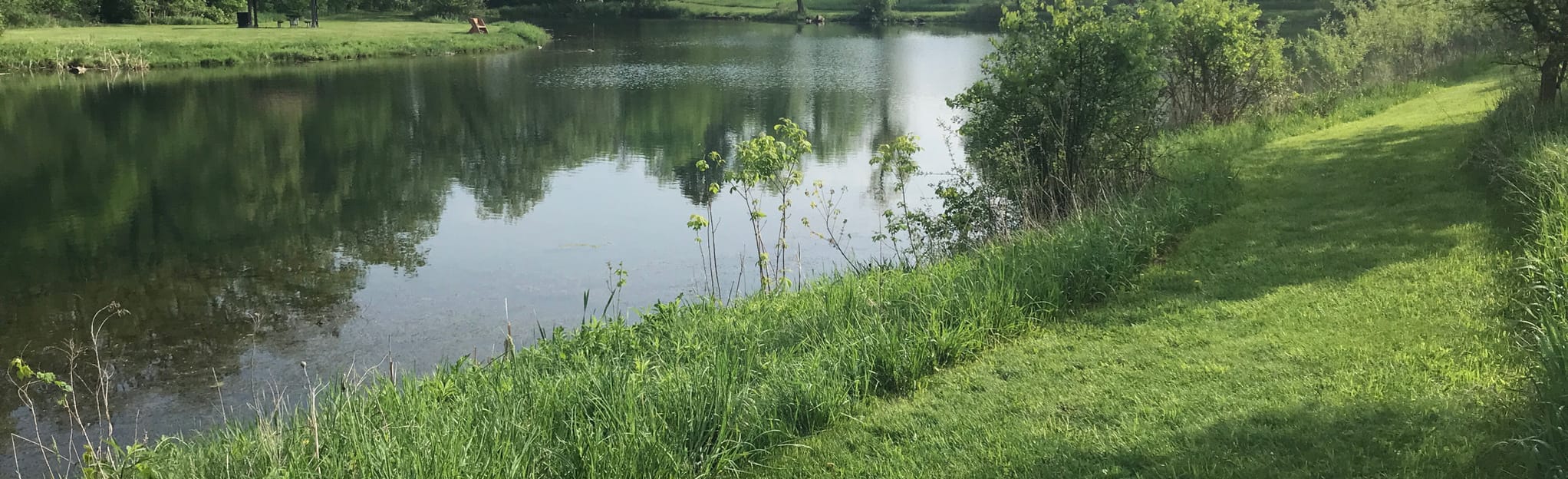 West Loop Nature Trail, Illinois 7 Reviews, Map AllTrails