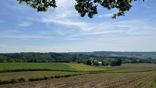 Bad Griesbach Forst Runde