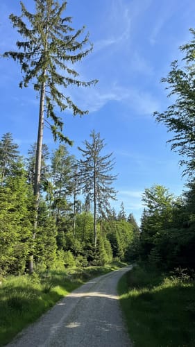 Bad Griesbach Forst Runde