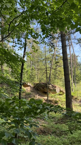 Bad Griesbach Forst Runde