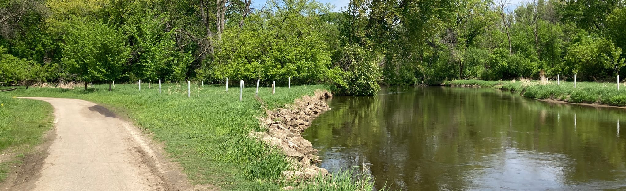 Wood Duck, Cottonwood, Willow and Grand Crossing Loop, Wisconsin 59