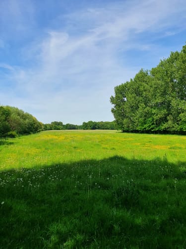 An den Teichen beim Bautzener Stausee