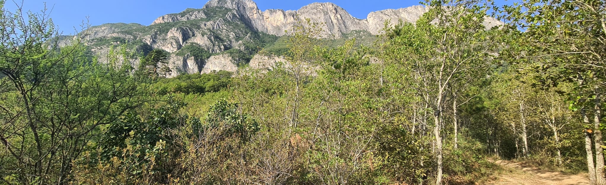 Canoas Moras Don Toño Empalme Cuadrada Nuevo León, Mexico