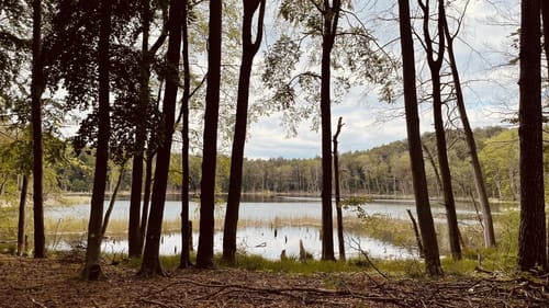 Um den Zermützelsee