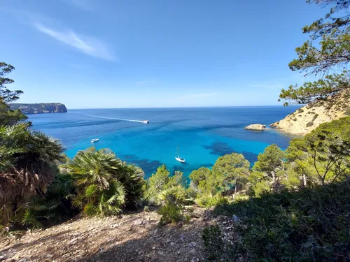 Port d'Andratx - Discover Mallorca