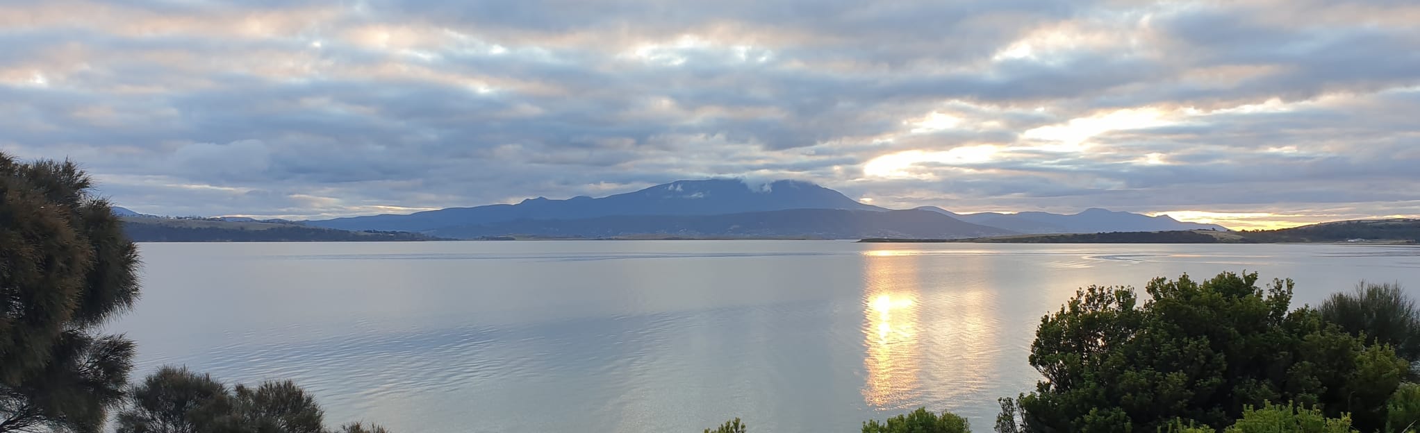 Tangara Trail Rifle Range Road to Priscilla Park 25 Fotos Tasmanien