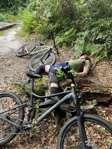 lake druid mountain bike park