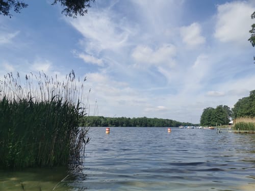 Tegeler See und Großer Malchsee Rundweg