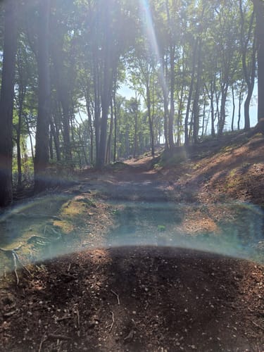 Bielfelder Berg und Ebberg ab Habichtshöhe
