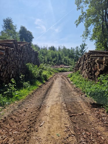 Bielfelder Berg und Ebberg ab Habichtshöhe