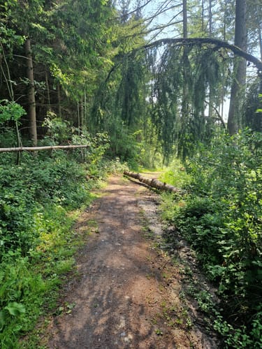 Bielfelder Berg und Ebberg ab Habichtshöhe