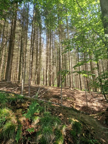 Bielfelder Berg und Ebberg ab Habichtshöhe