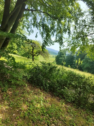Rundwanderweg Wersau 1: Weißer-Stein-Weg