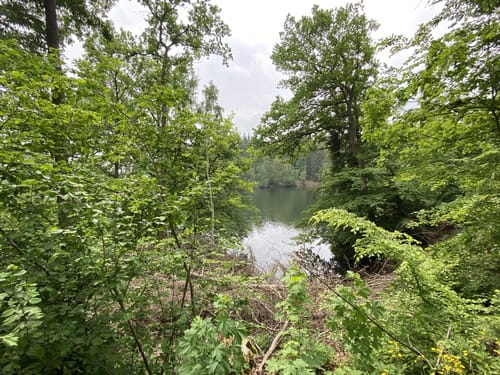 Von Neheim zum Möhnesee