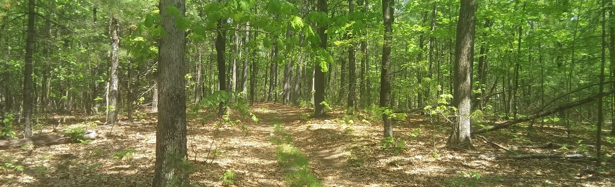 Townsend Quarries Loop, Massachusetts 175 Reviews, Map AllTrails