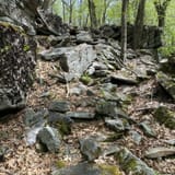 Allegheny Front Trail, Pennsylvania - 229 Reviews, Map | AllTrails