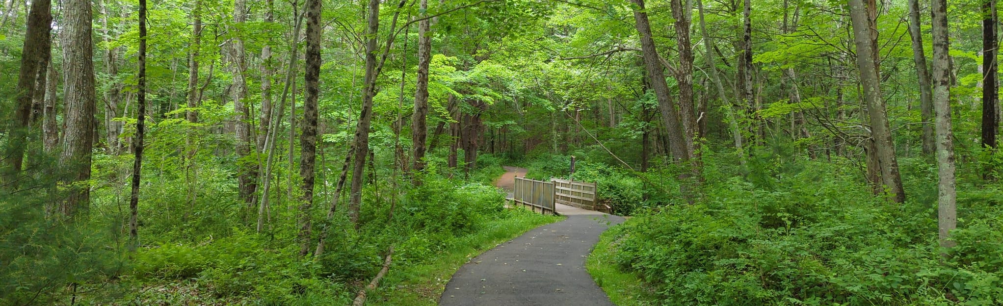 Crandall Red Blazes Loop 122 Reviews, Map Connecticut AllTrails