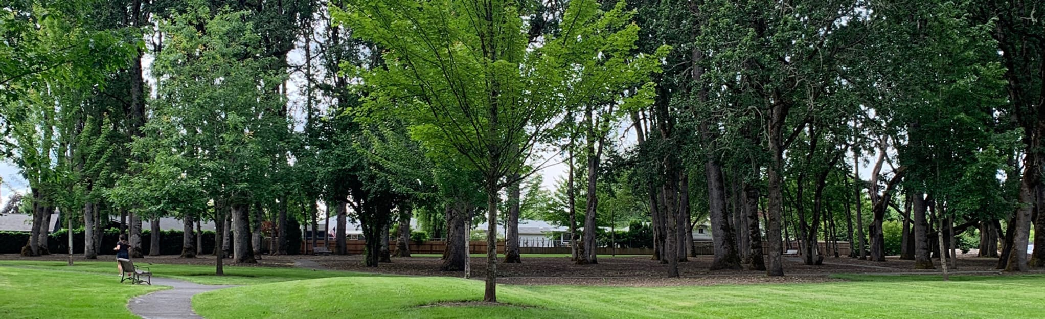 Shadywood Park Loop, Oregon 19 Reviews, Map AllTrails