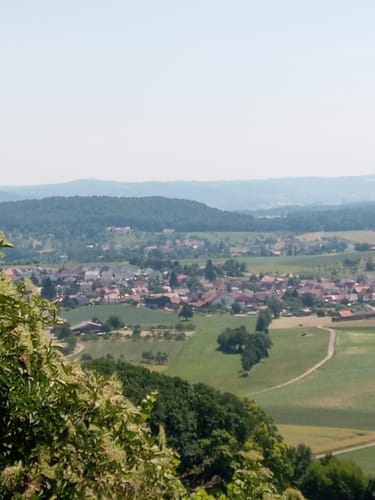 Entlang dem Rohrbach zum Föhrenberg