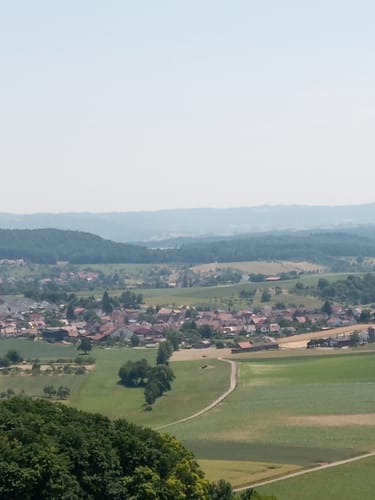 Entlang dem Rohrbach zum Föhrenberg