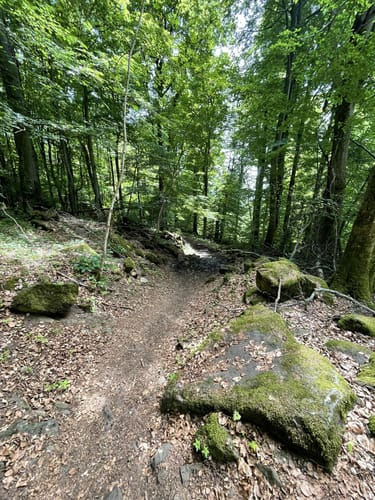 Kreuzbergtour (Extratour)