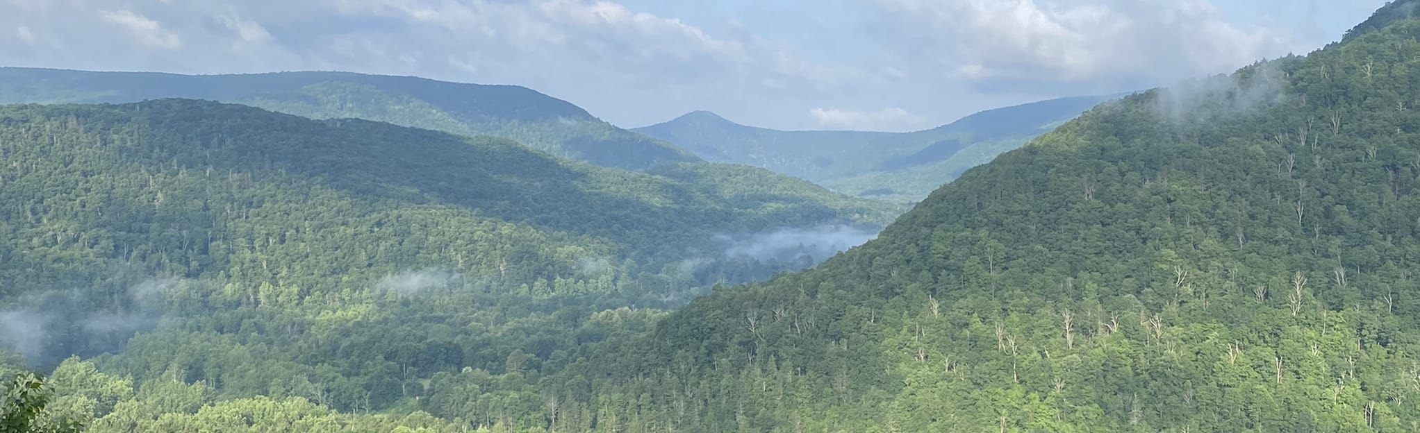 Rough Hill Trail Map, Guide Pennsylvania AllTrails